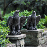 Photo of Campania Eagle Looking Left and Right - Exclusively Campania
